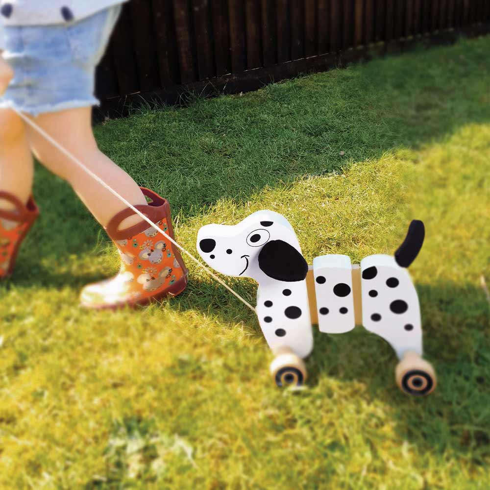 Wooden Pull-Along Dog
